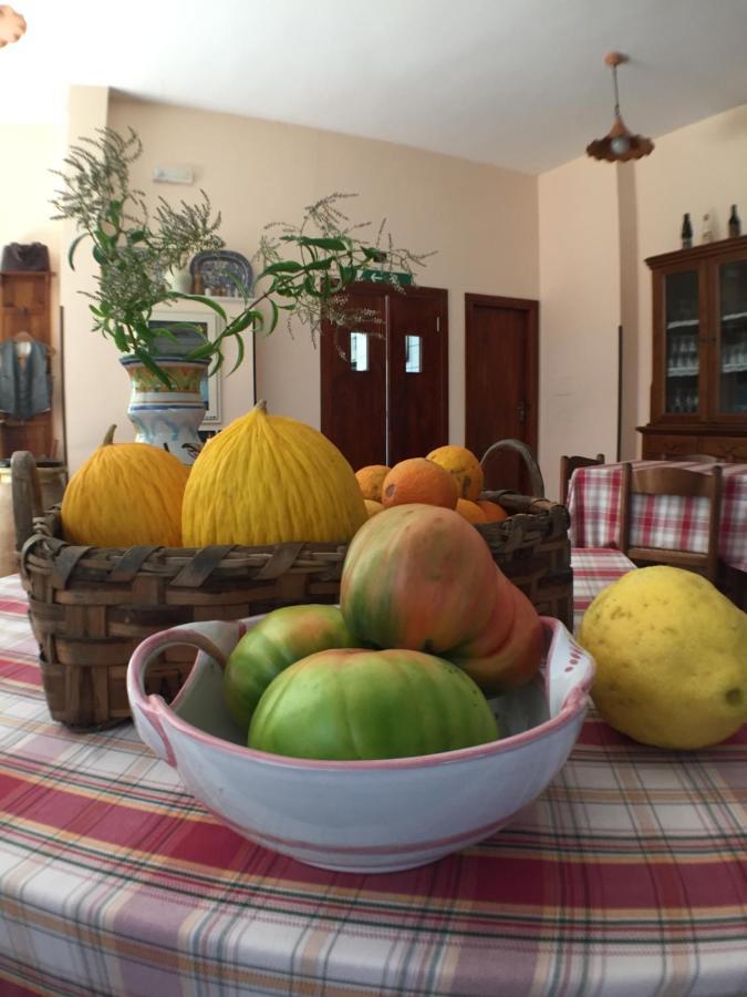 Casa Nannina 호텔 메타 외부 사진